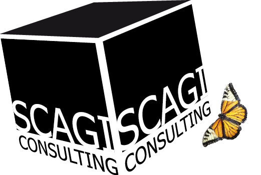 SCAGI CONSULTING